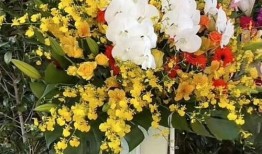 花篮网爆料最新消息